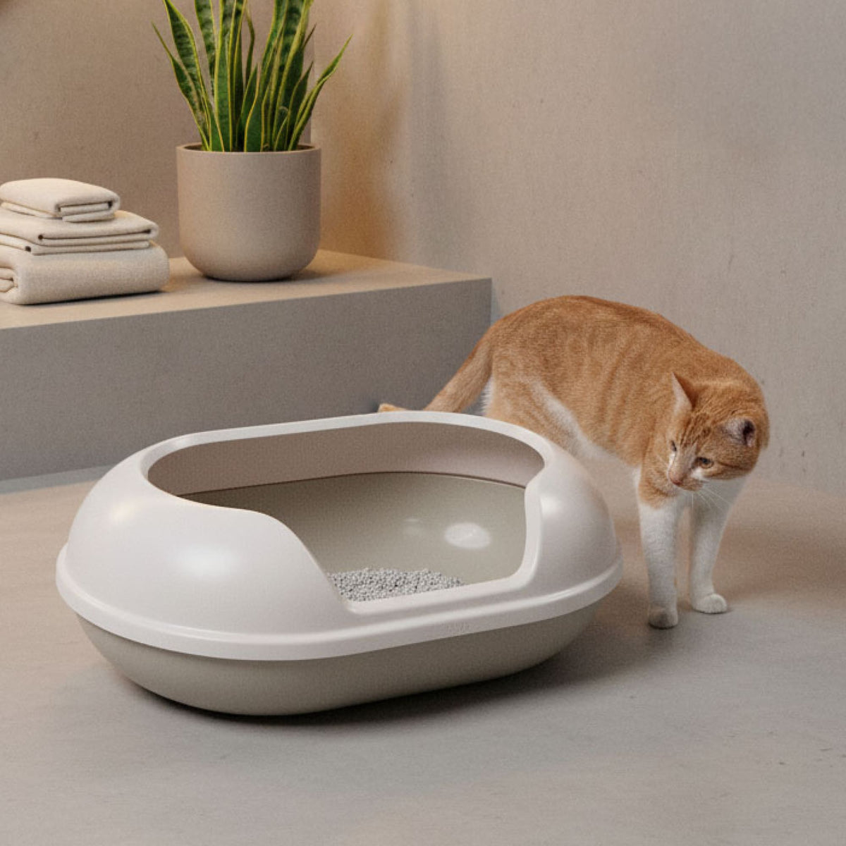 ARENA cat litter tray
