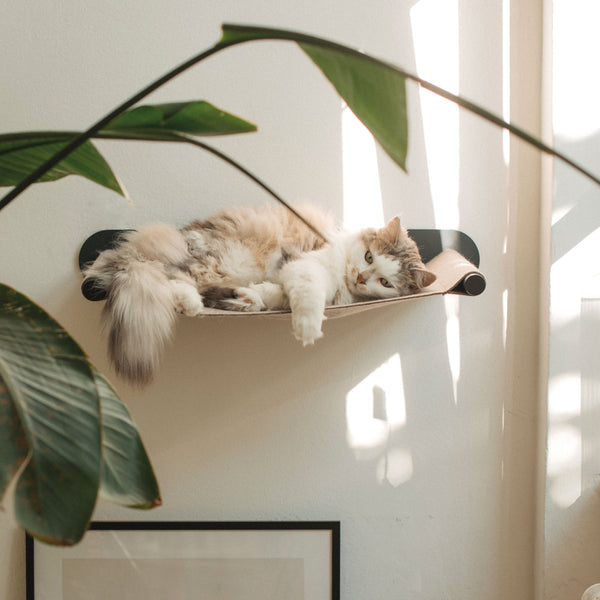 katzen hängematte auto LucyBalu® Katzenhängematte