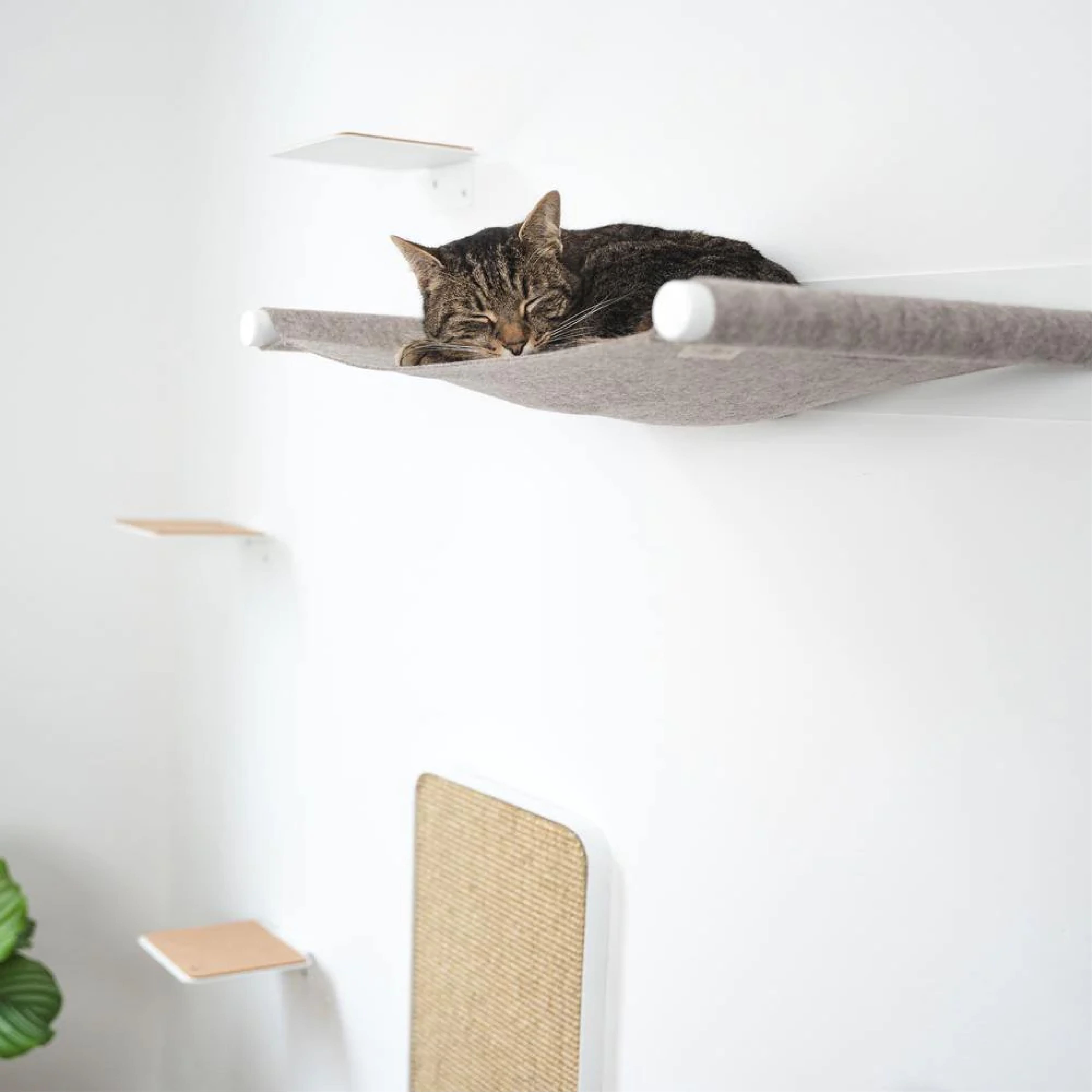Cat hammock SWING