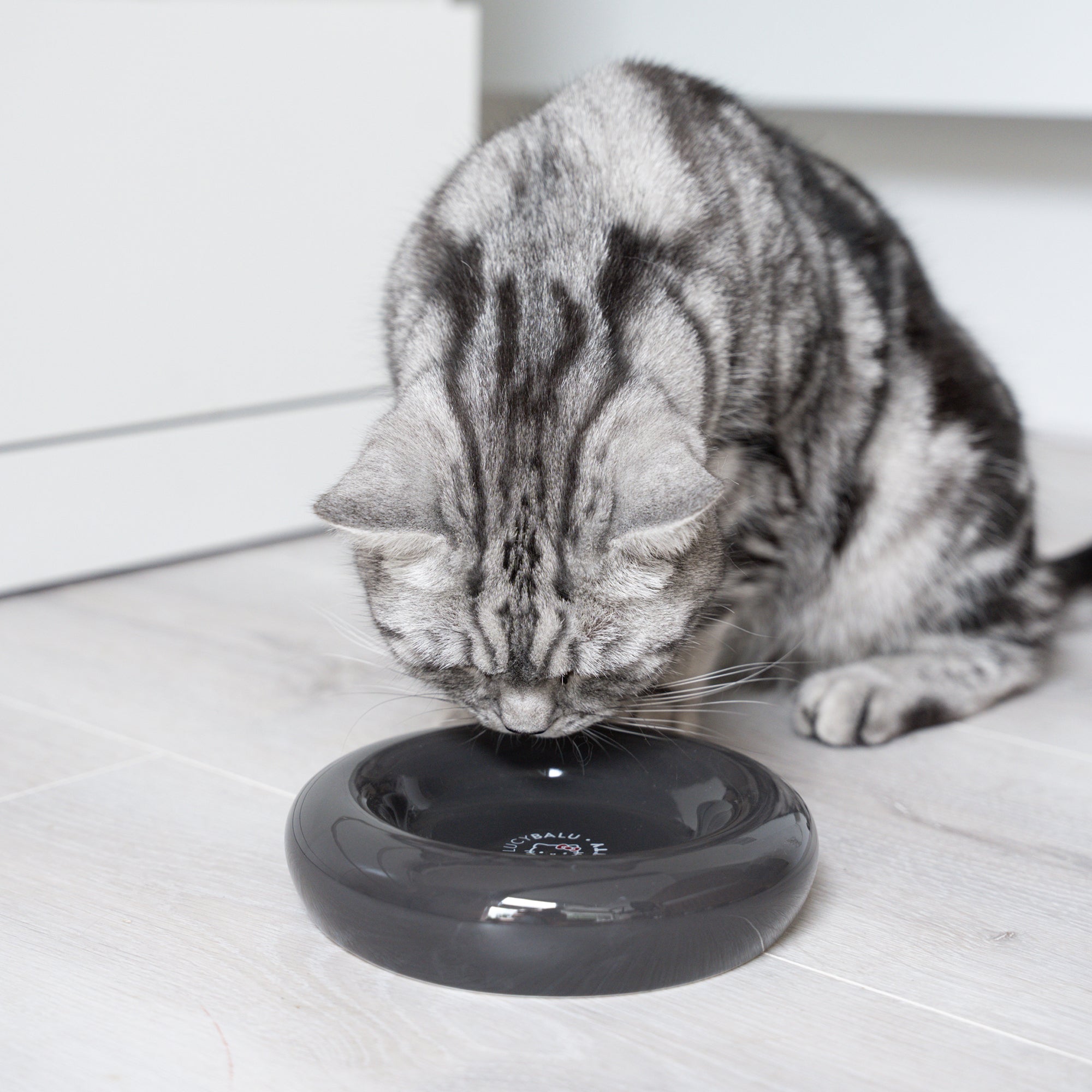 Katzennapf aus Porzellan - Hello Kitty Edition von LucyBalu