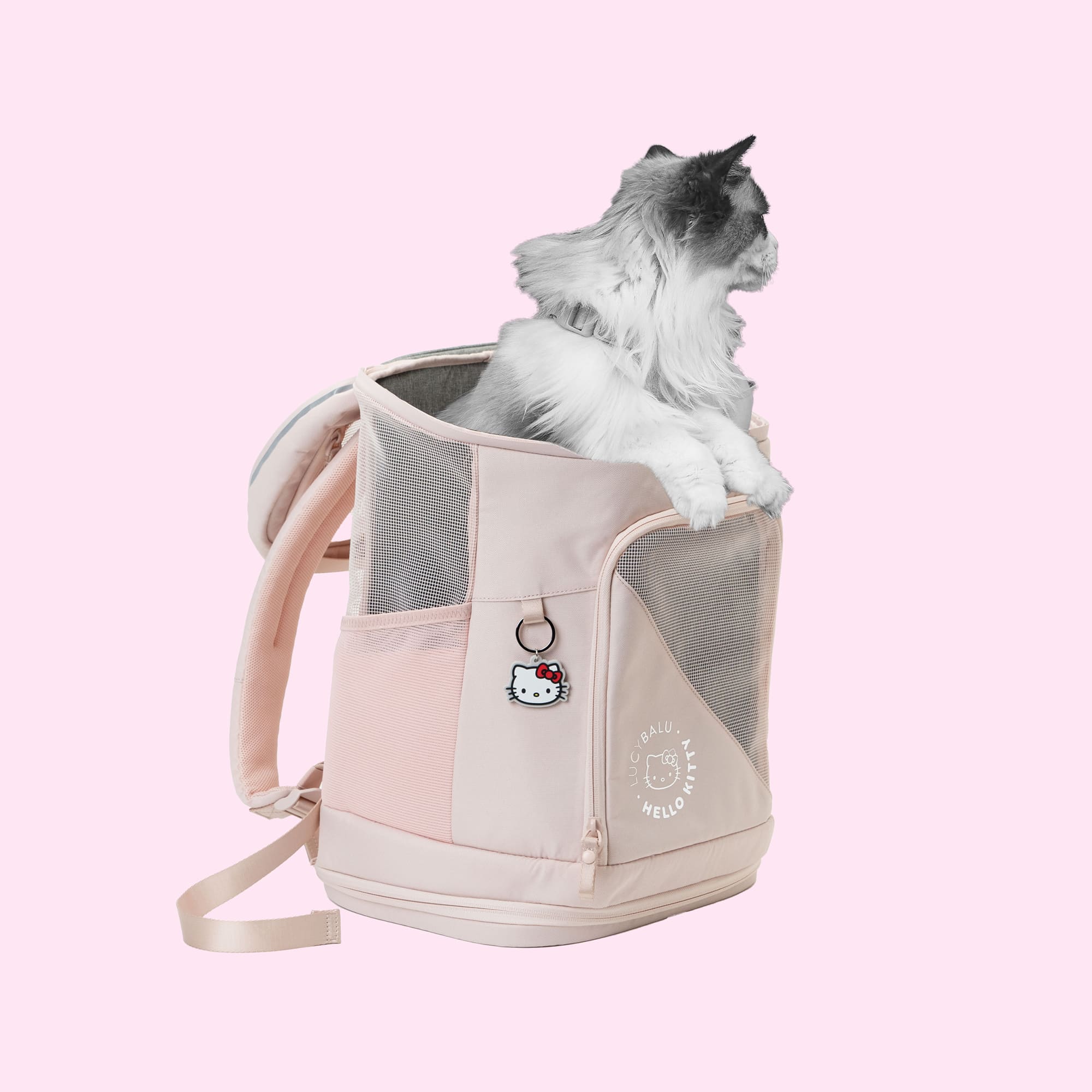 Hello kitty online pet carrier bag