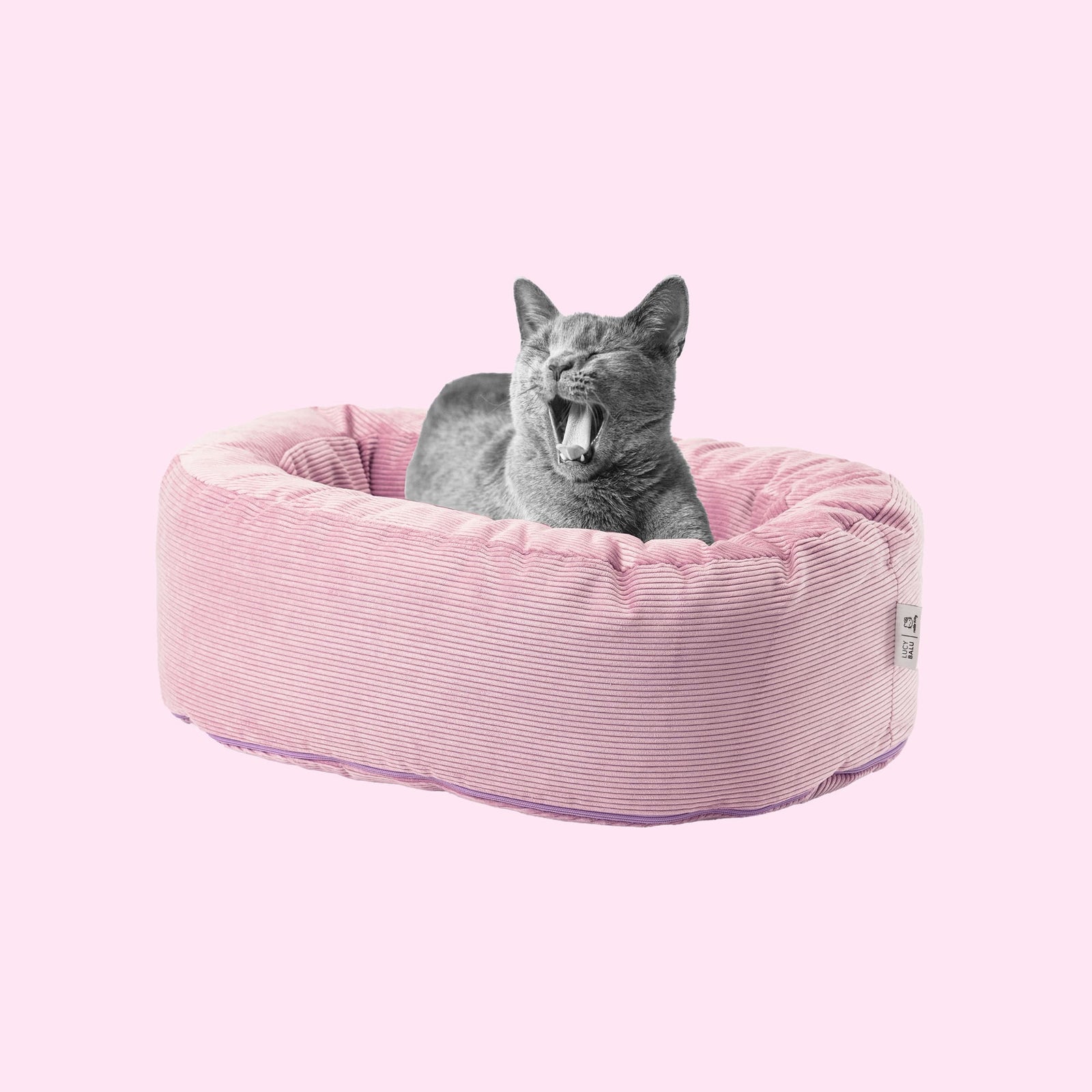 Petbarn cat bed best sale