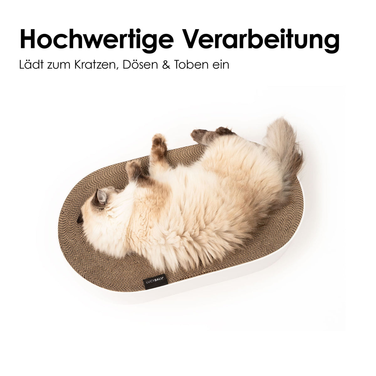 SCRATCHBED - Designer Kartonbett