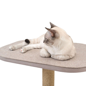 Katze liegt entspannt auf moderner Kratzbaum-Liegefläche mit Filzauflage – hochwertiger Sisal-Kratzbaum.