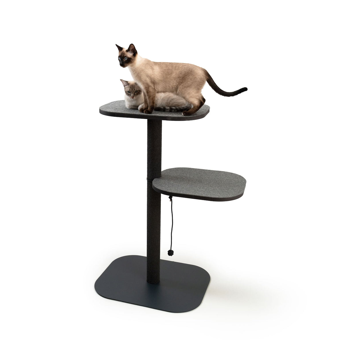 Zwei Katzen auf stabilem, modernem Kratzbaum mit Sisal-Kratzstamm und großer Liegefläche.