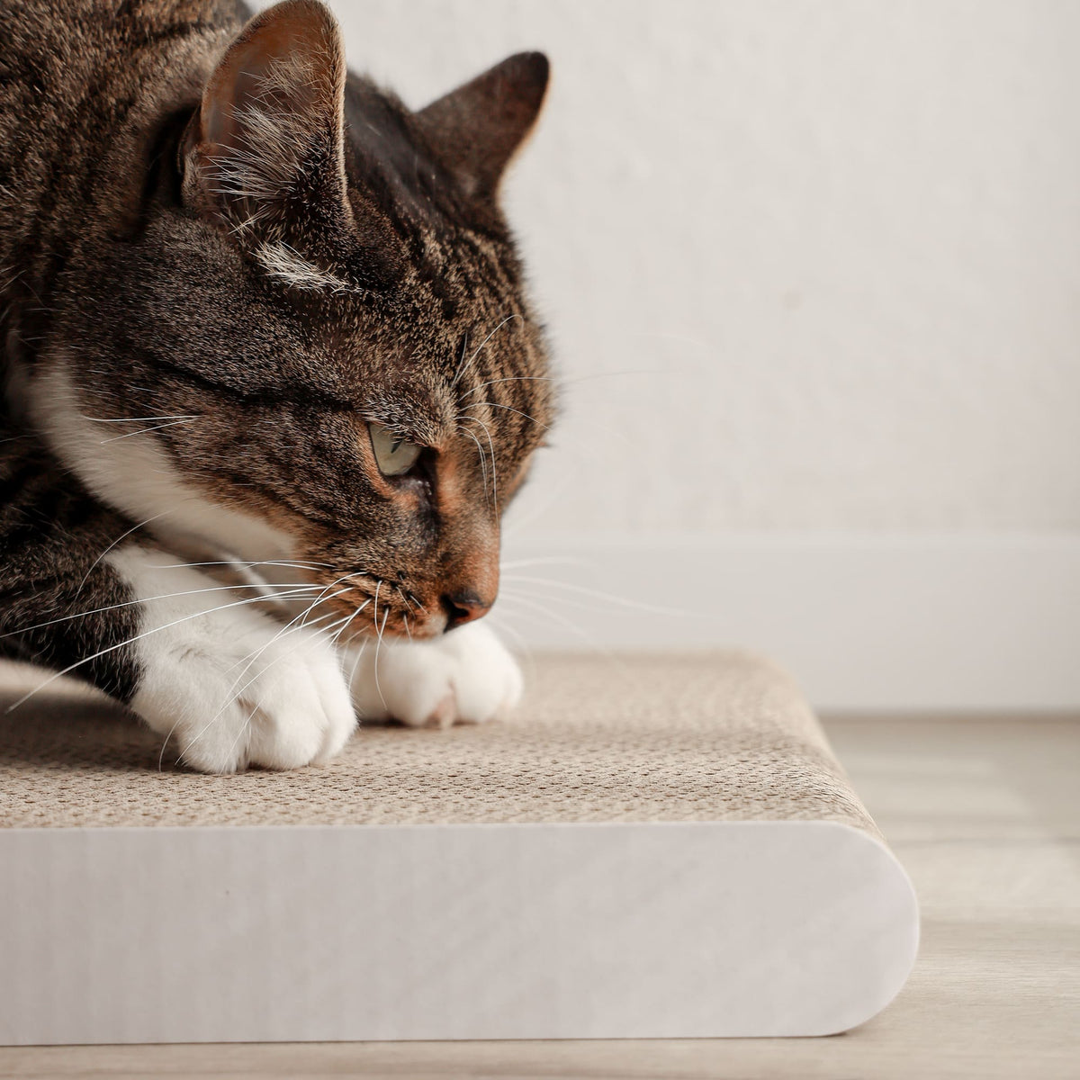 WALLPAPER Kratzbrett aus Pappe