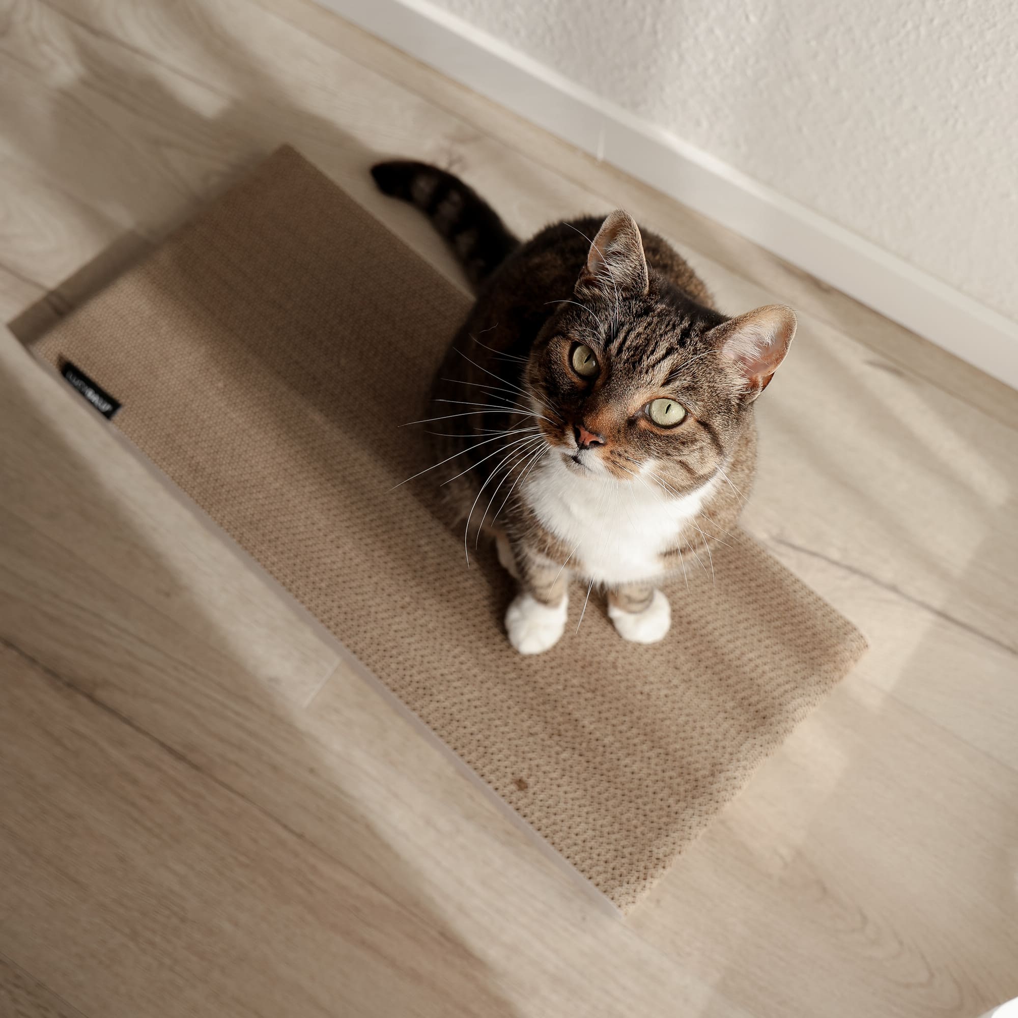 WALLPAPER Kartonnen krabplank