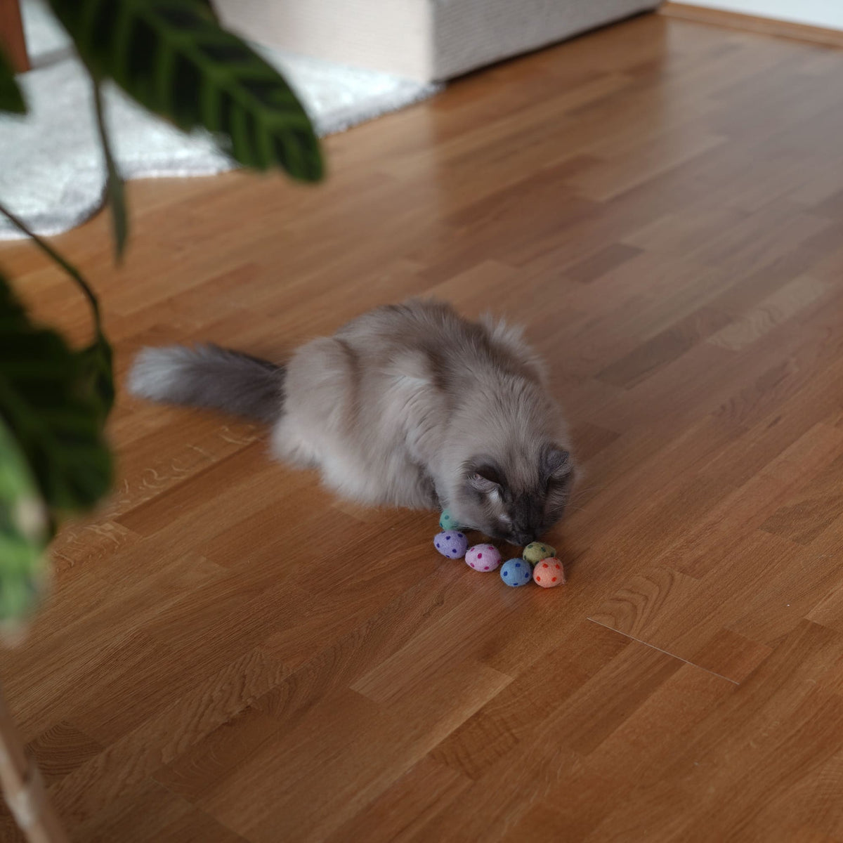 RAINBOW EGGS Cat toy