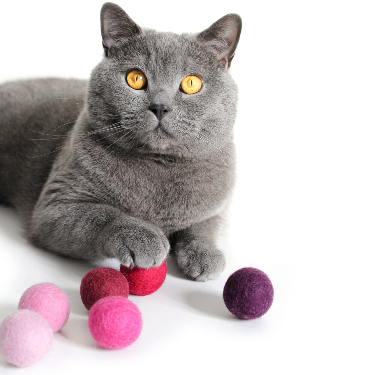 VIVA MAGENTA Viltballen voor katten Set van 6