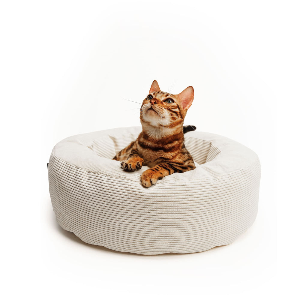 NEST kattenmand in zand, Bengaalse kat ligt oplettend in de gezellige corduroy mand