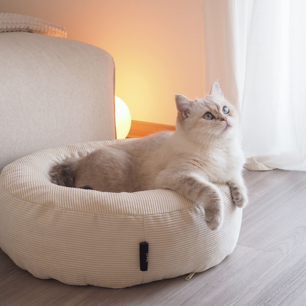 NEST Lit pour chat