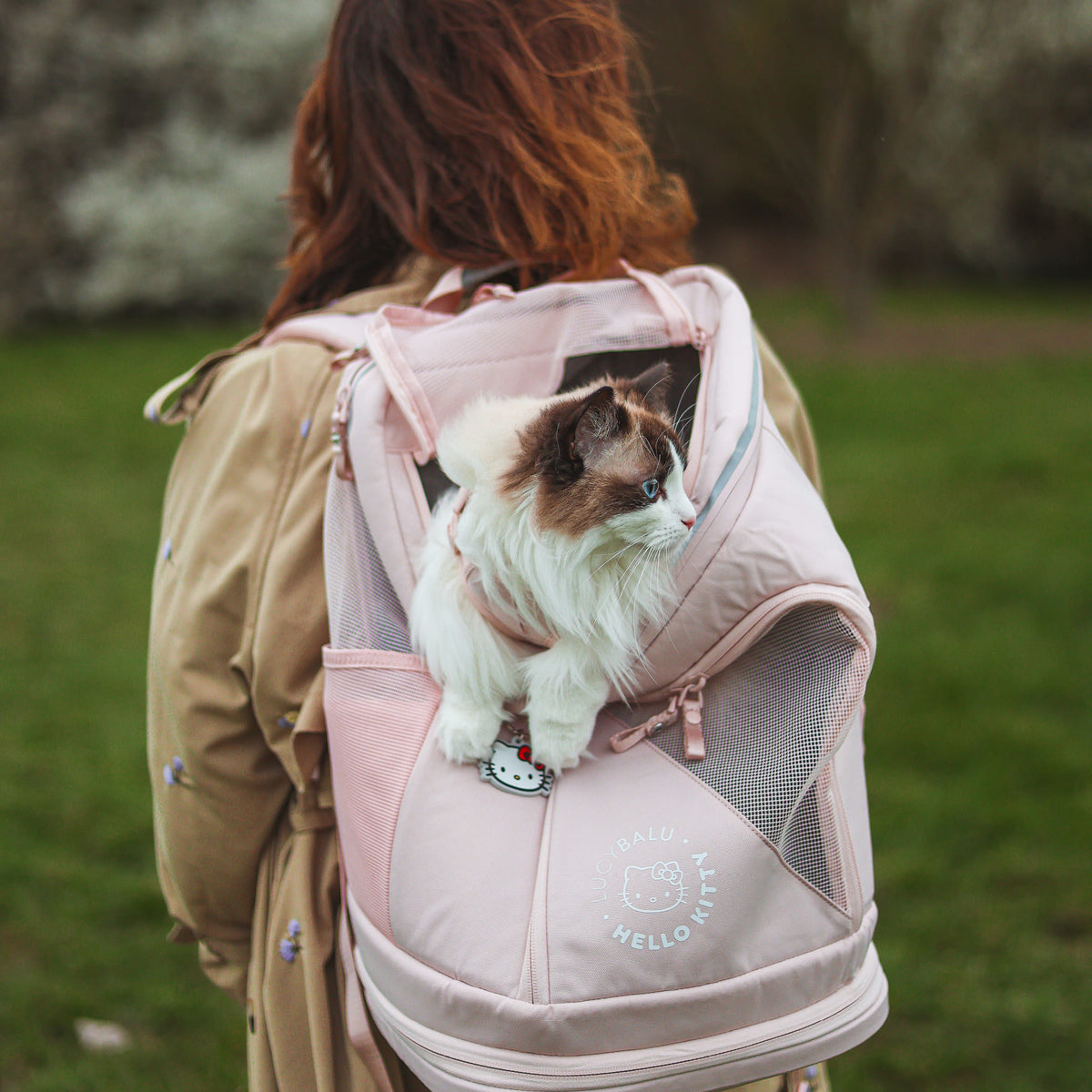 katze in katzenrucksack hello kitty