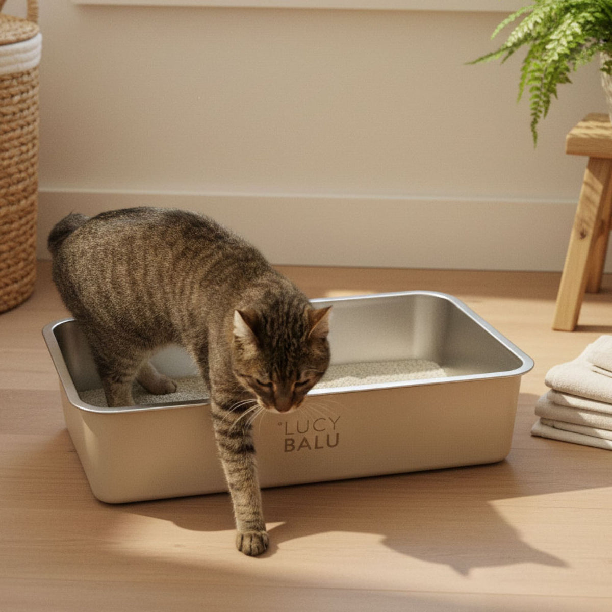 STEELOO minimalistic cat litter box