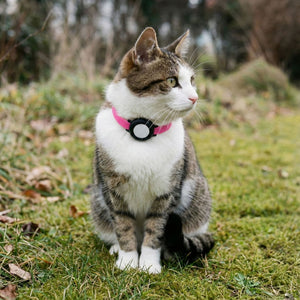 NEMO cat collar