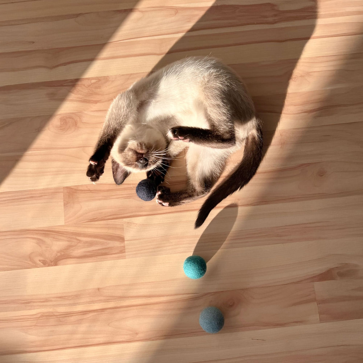 OCEAN VIBES Filzbälle