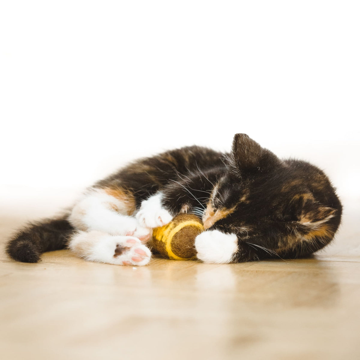 SUPER BALLS Katzenspielzeug