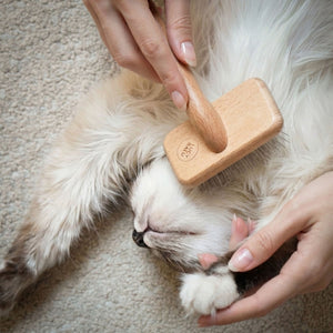 FURRY Slickerbürste