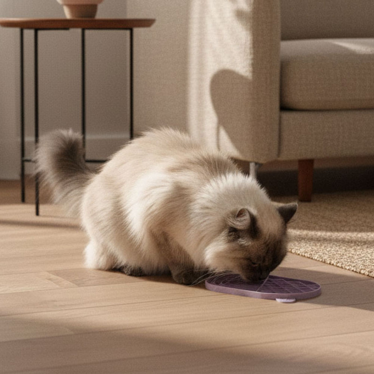 ZENPAD lick mat for cats