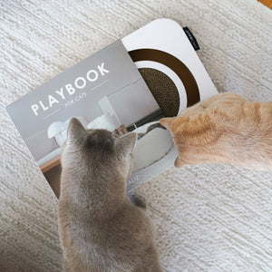 Zwei Katzen spielen auf einem weißen Kratzbrett aus Wellpappe mit rundem Kratzbereich und integriertem Ball.