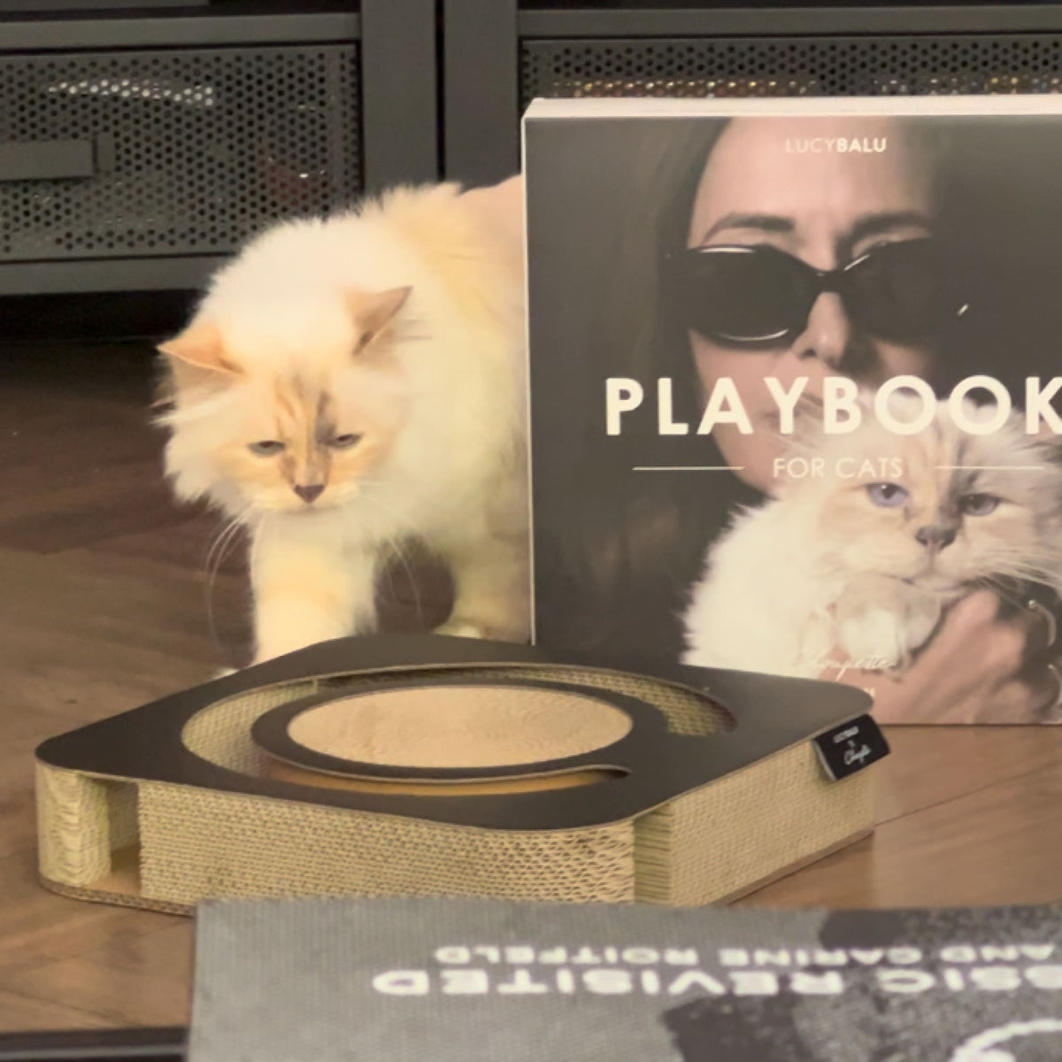 Katze neben dem Playbook-Spielbrett – stilvolle Kratz- und Spielmöglichkeit für Wohnungskatzen.