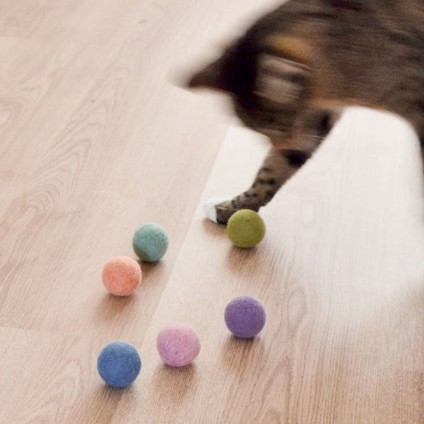 Cat toy COLOR BALLS