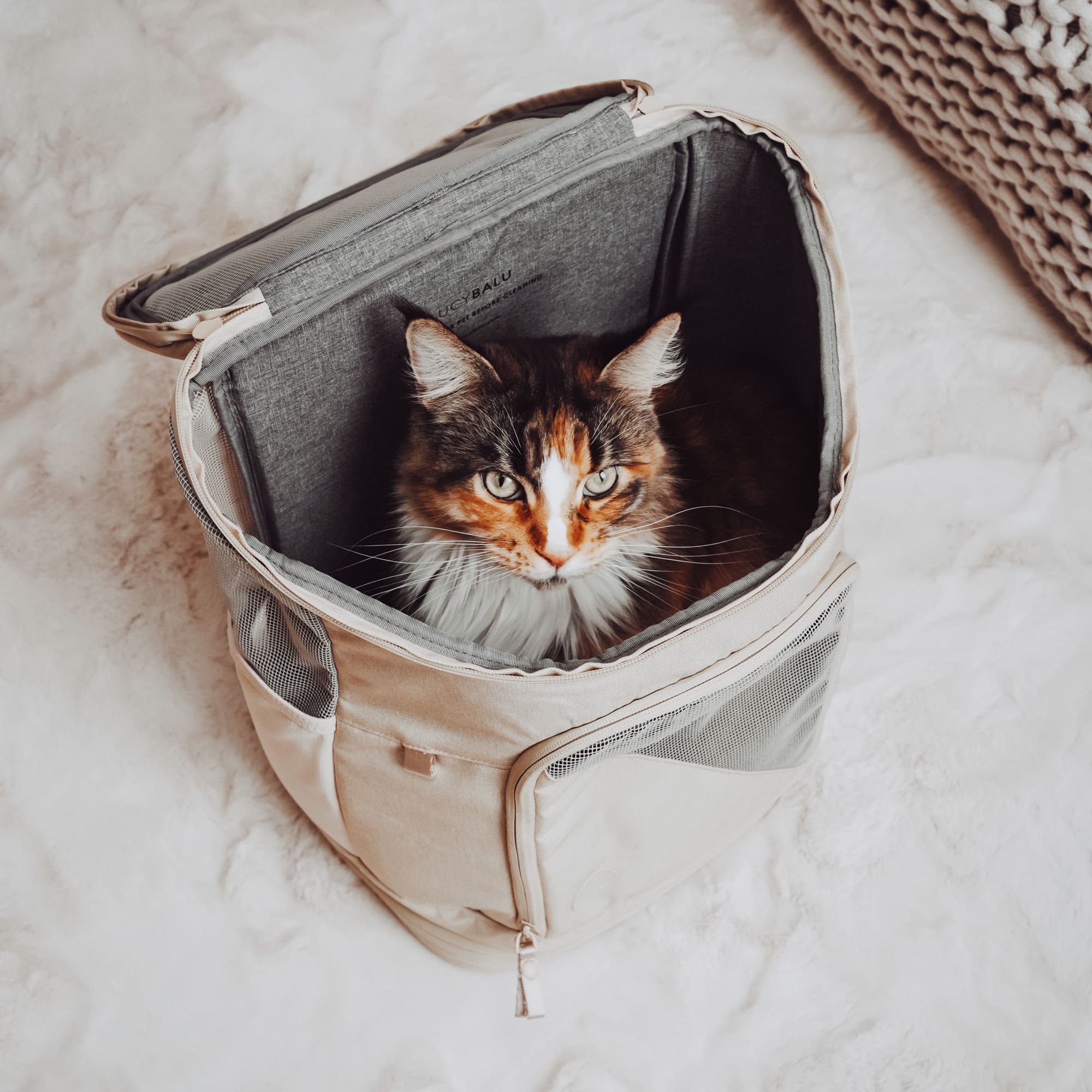 HOP ON Cat Backpack