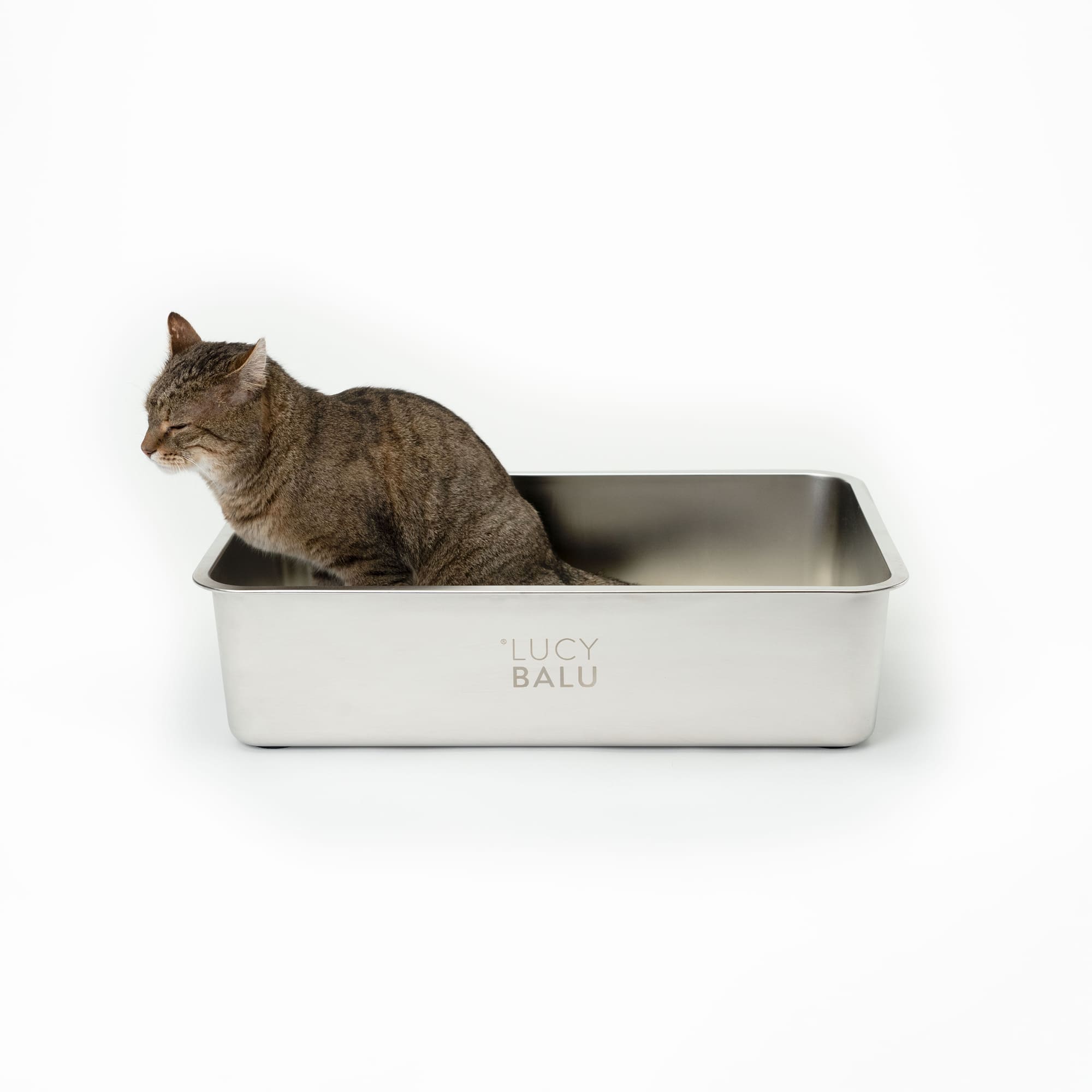 Large Stainless Steel Cat Litter Box Cat Litter Box XXL LucyBalu