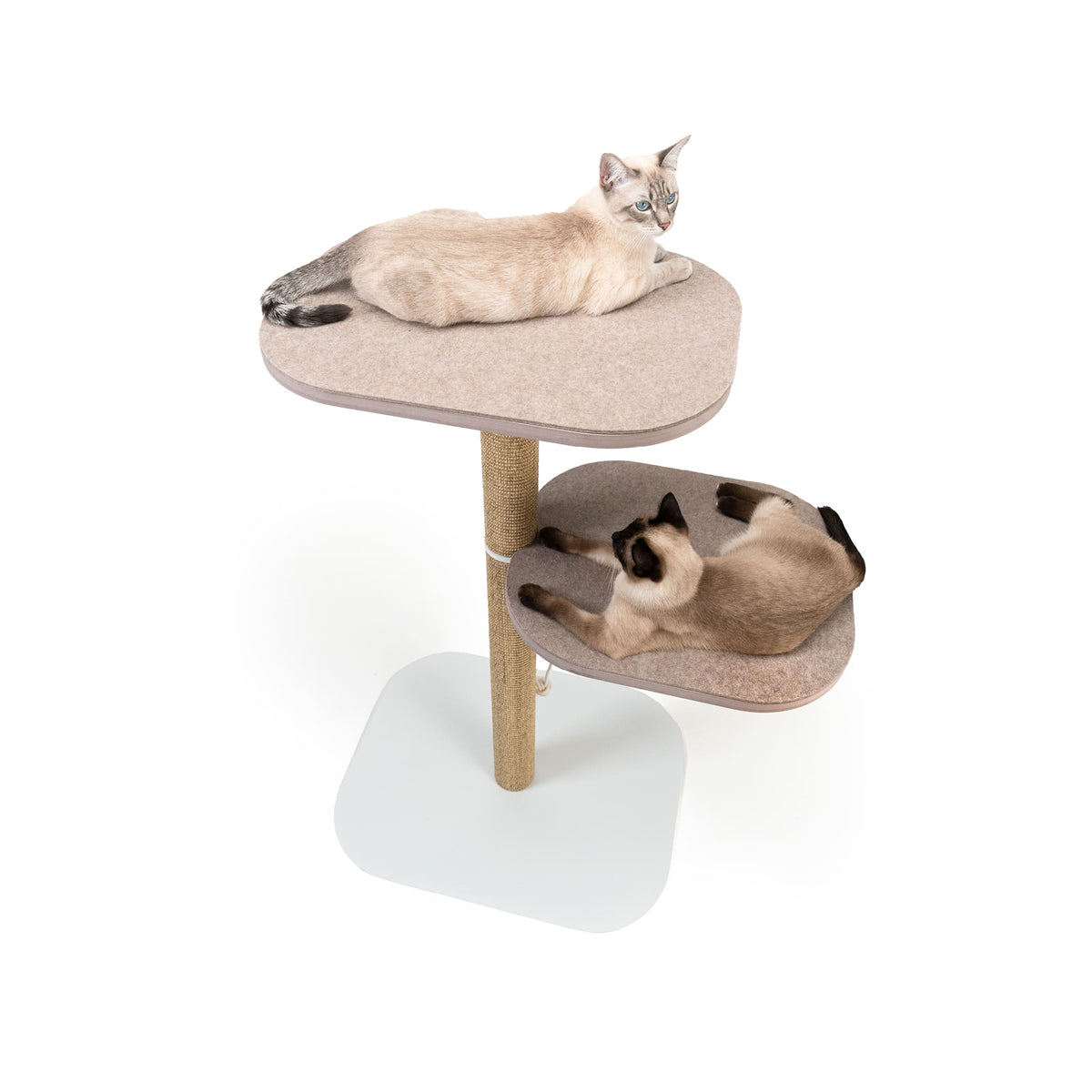 Hochwertiger Kratzbaum mit zwei Liegeflächen aus Filz – ideale Katzenmöbel für mehrere Katzen.