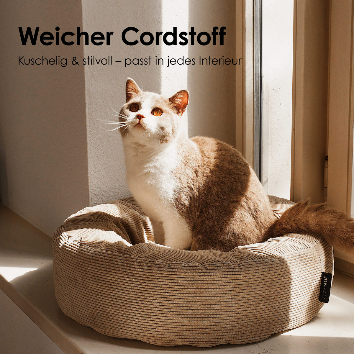 Katze sitzt aufrecht im runden Katzenbett aus sandfarbenem Cordstoff und blickt interessiert in die Sonne.