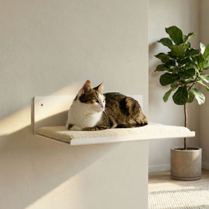 STRAIGHT Plateforme murale