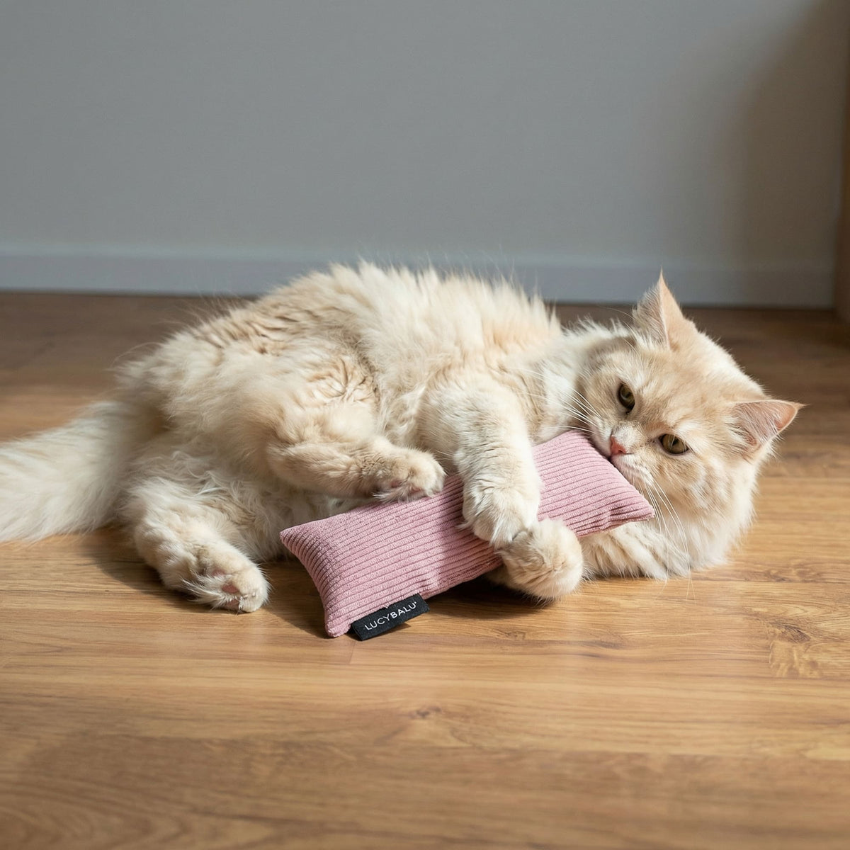 KICK BUNNY Cat Pillow with Catnip