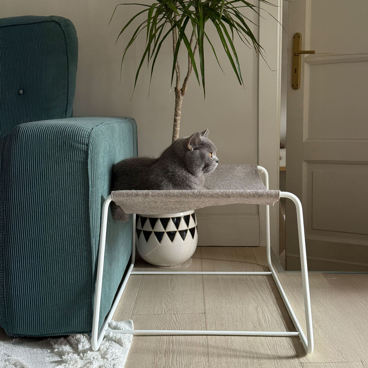 FLOAT Katzenhängematte