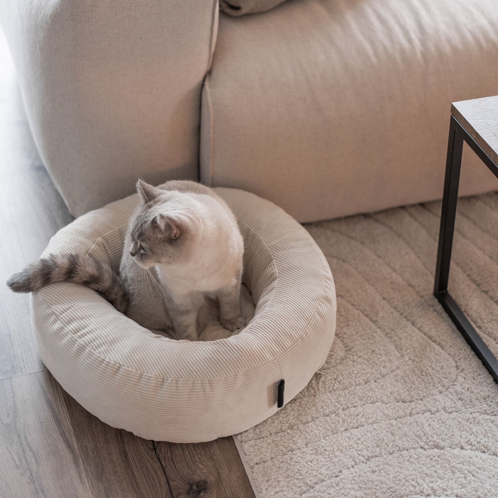 NEST kattenmand in zand, kat zit erin op een pluizig tapijt in de woonkamer