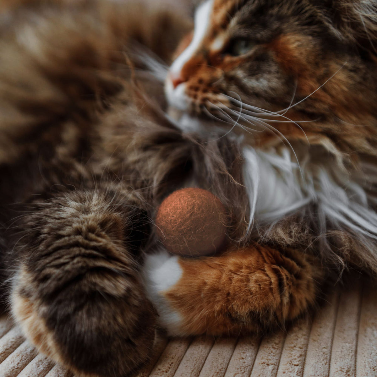 Katzen Filzspielzeug Ball