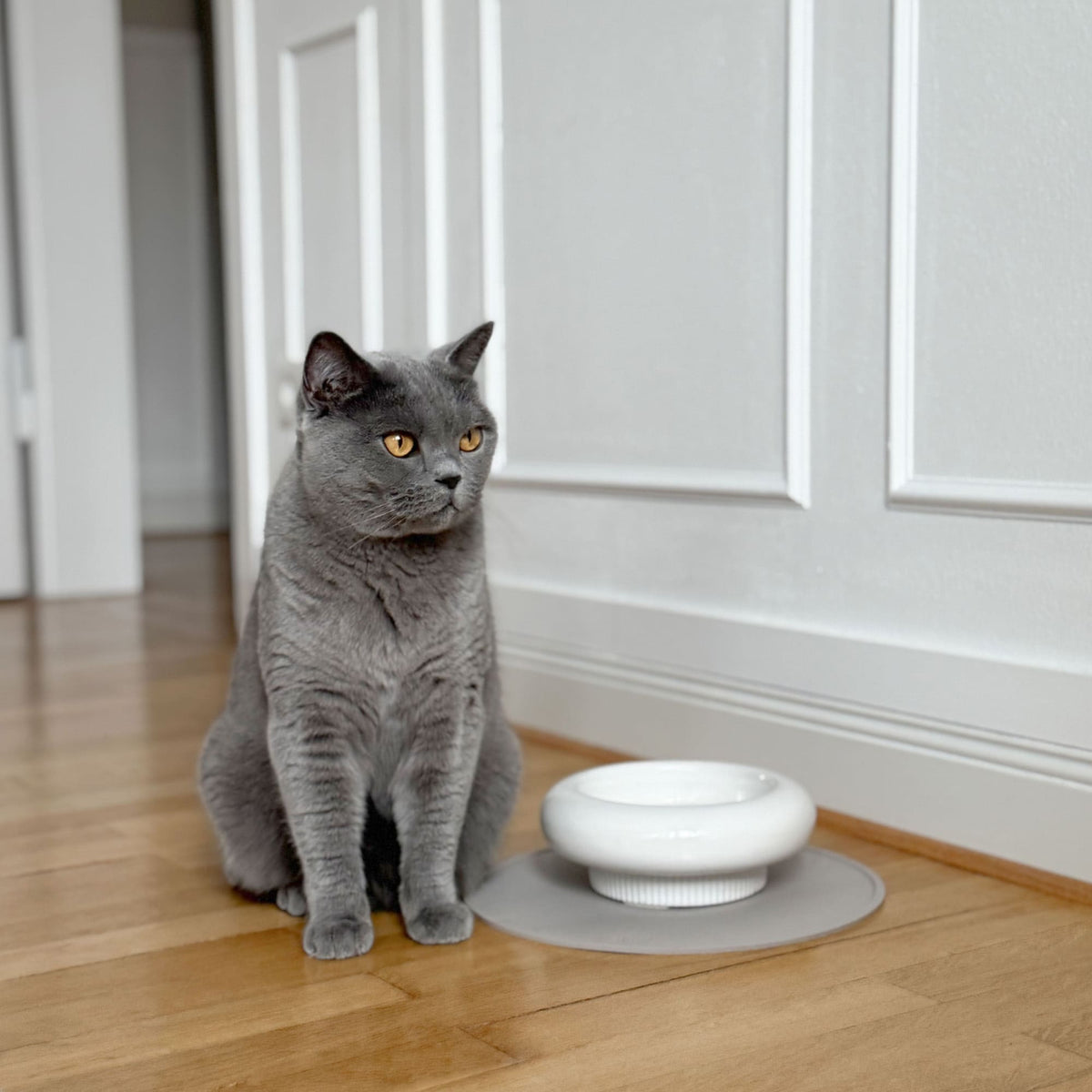 MYCO ceramic bowl design classic by LucyBalu - Main Image