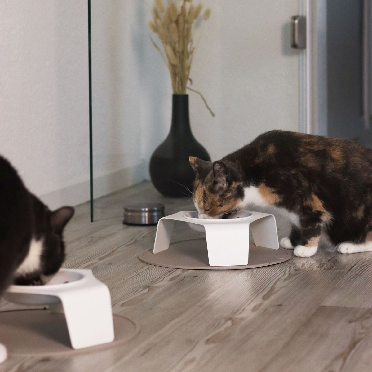 DELI elevated cat bowl