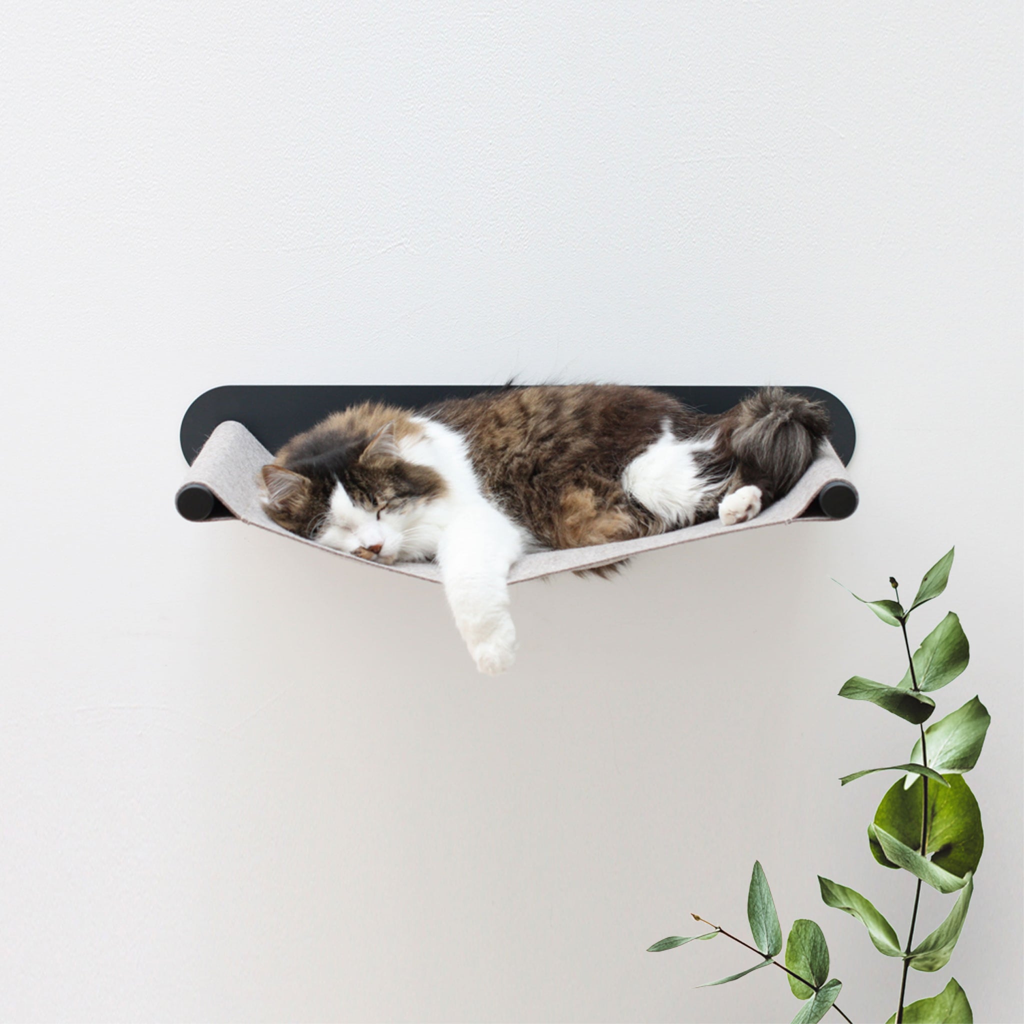LucyBalu - Collier pour chat pour AirTag