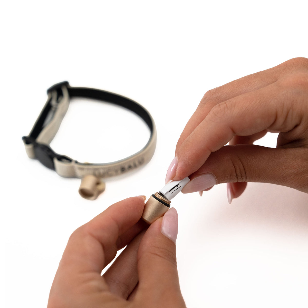 Notfallkapsel für Katzenhalsband wird mit Kontaktinformation befüllt – clevere Sicherheitslösung.