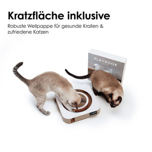 Zwei Katzen spielen an einem interaktiven Kratzbrett aus Wellpappe mit runder Kratzfläche und integriertem Ball, Verpackung im Hintergrund.