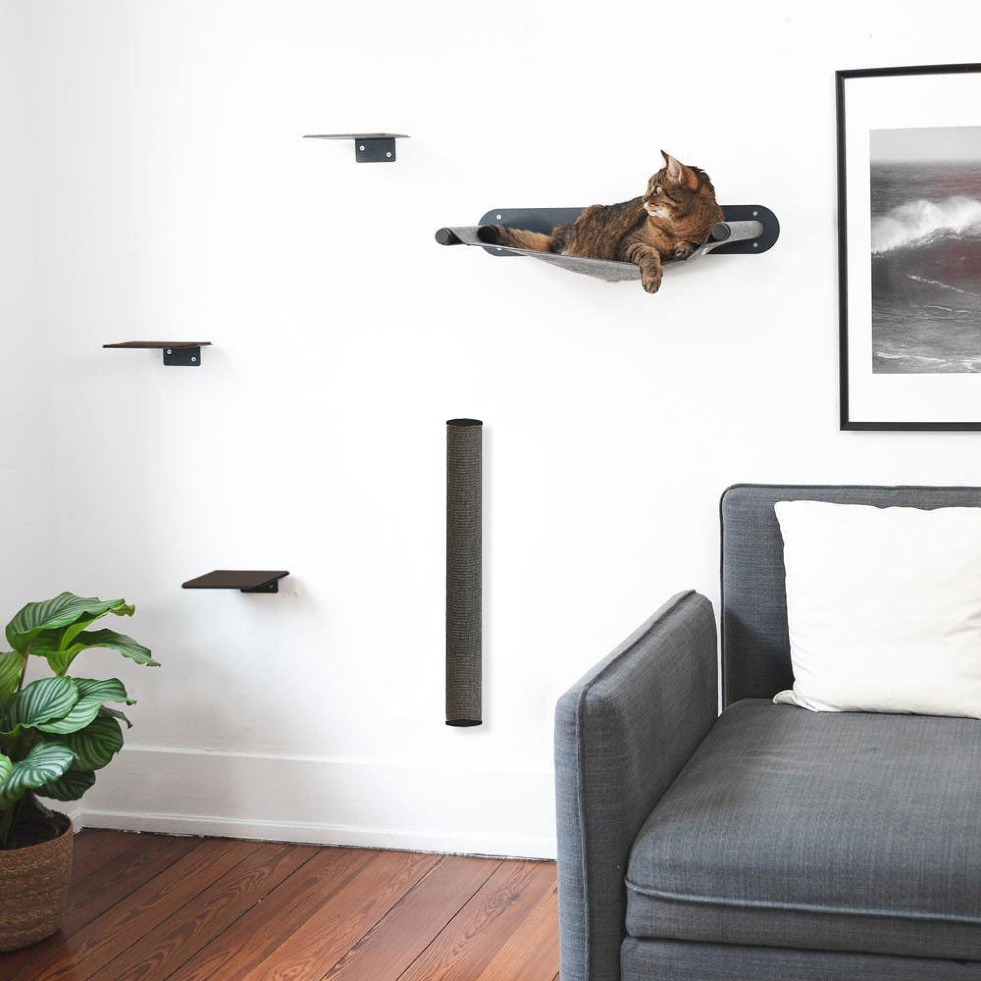 catwalk hängematte Cat wall set anthracite - CATWALK