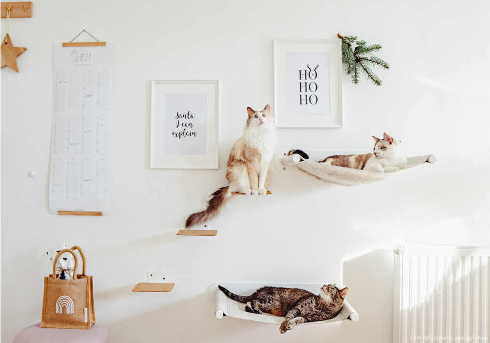 Katzen Kletterwand mit Katzentreppe & Katzenhängematte