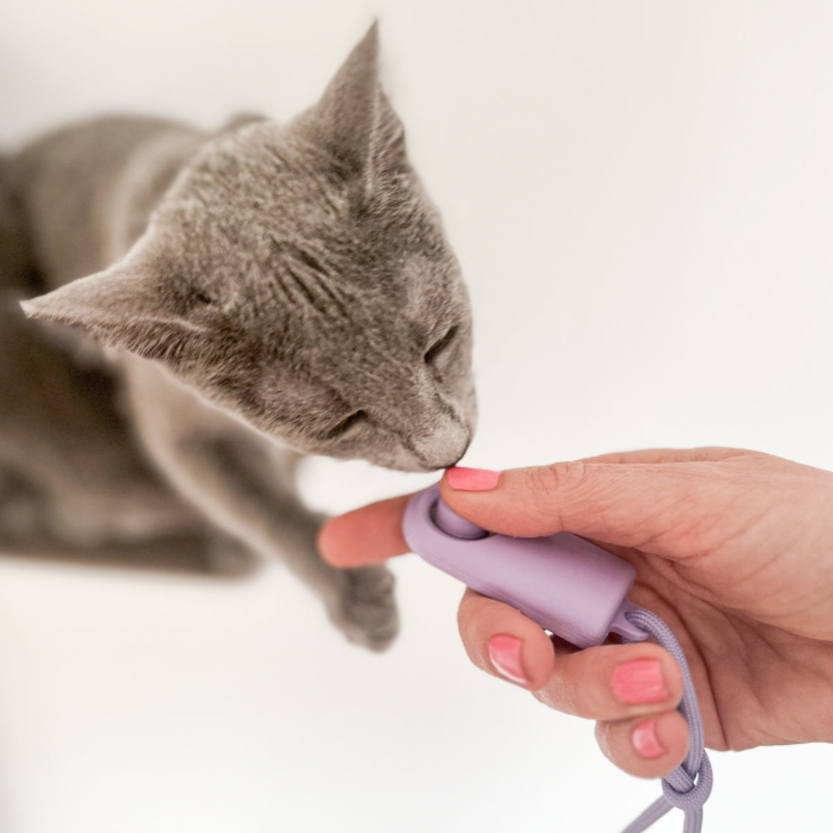 CLICKER clicker d'entraînement | set de 2 pièces