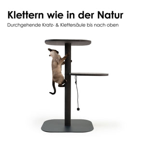 Katze klettert am robusten Sisal-Kratzstamm eines modernen Kratzbaums – Kletterspaß wie in der Natur.