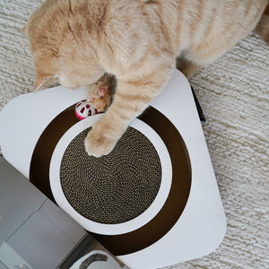 Orangefarbene Katze greift mit der Pfote in das LucyBalu Kratzbrett und bewegt den versteckten Spielball in der umlaufenden Öffnung.