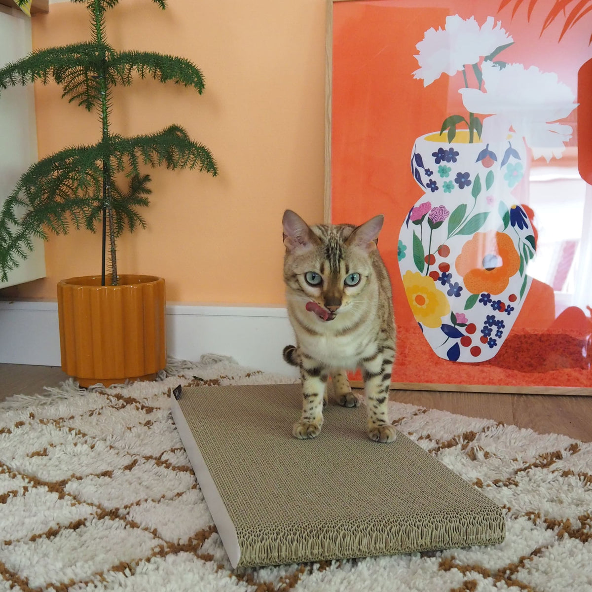 SCRATCHPAPER kraspapier