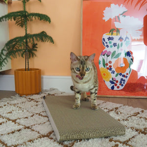 SCRATCHPAPER kraspapier