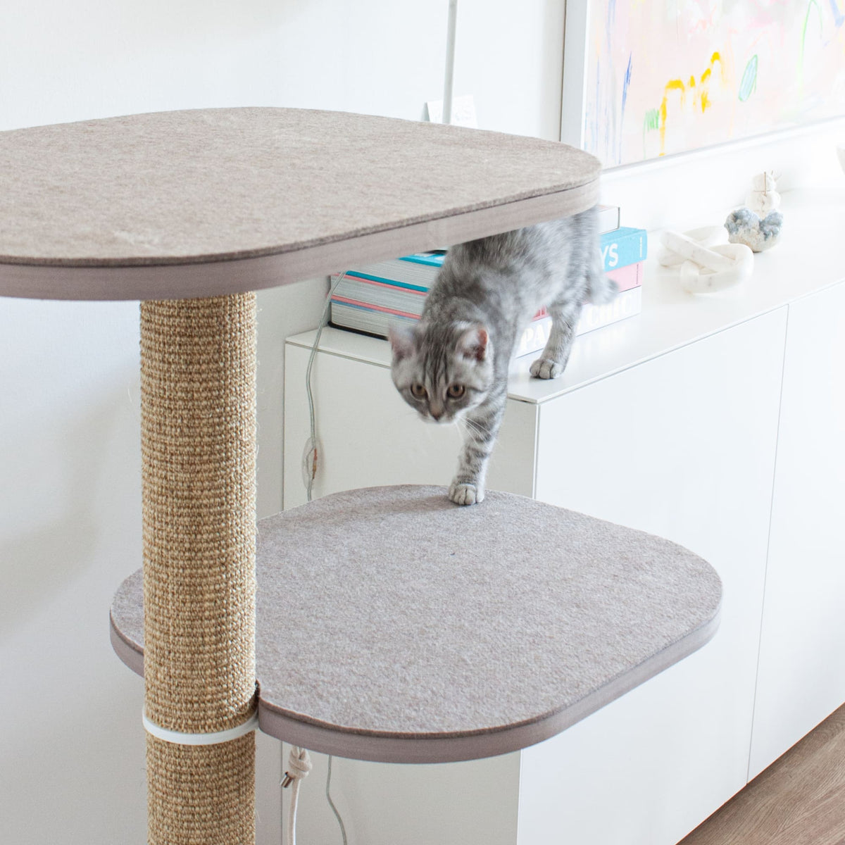 Weißer Kratzbaum mit Filzplattform und Sisalstamm – stylische Kratzmöglichkeit für Katzen.