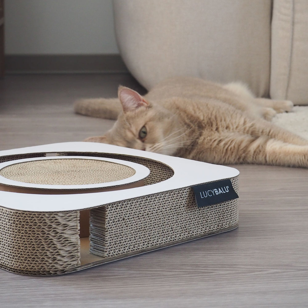 PLAYBOOK Interaktives Spielzeug