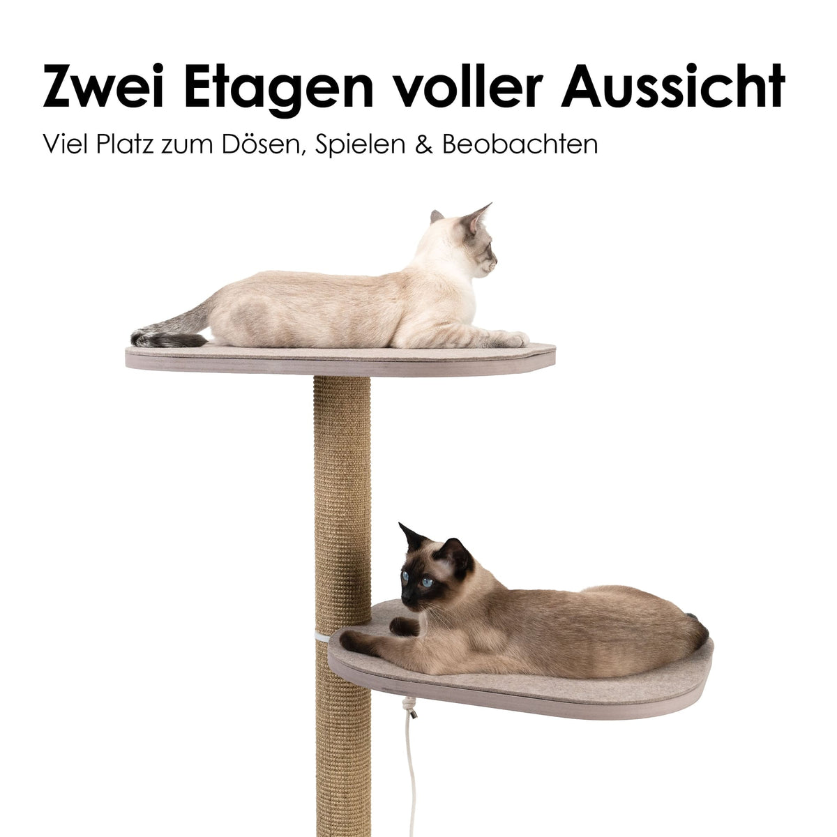Zwei Katzen nutzen großen modernen Kratzbaum mit zwei Liegeflächen – perfekter Schlafplatz.