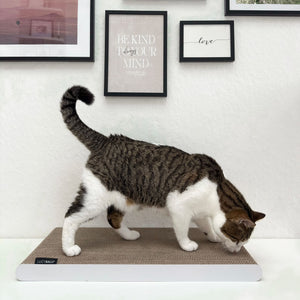 SCRATCHPAPER kraspapier